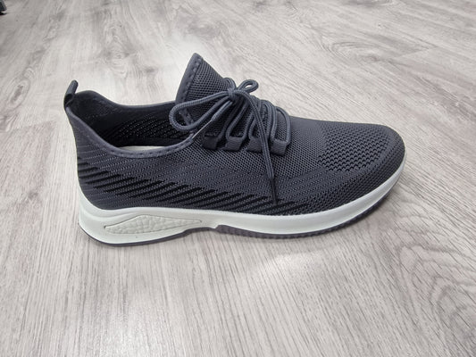 Arkansa grey trainer