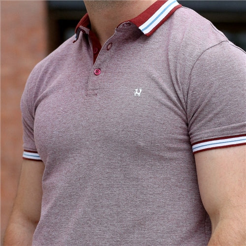 Dan Polo Maroon