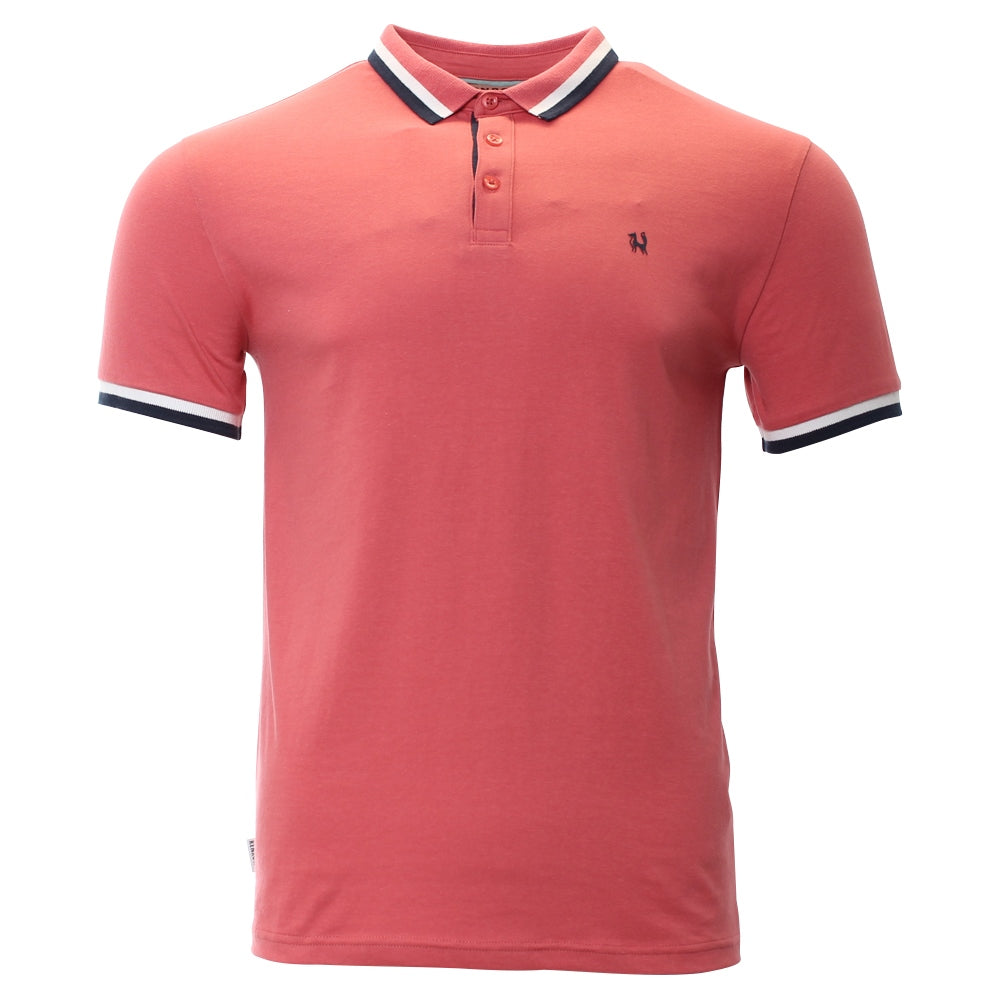 Patrick Polo coral