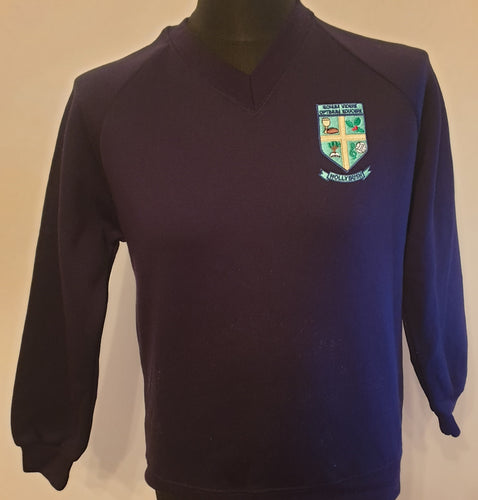 Hollybush navy sweatshirt - MJ's Menswear Derry