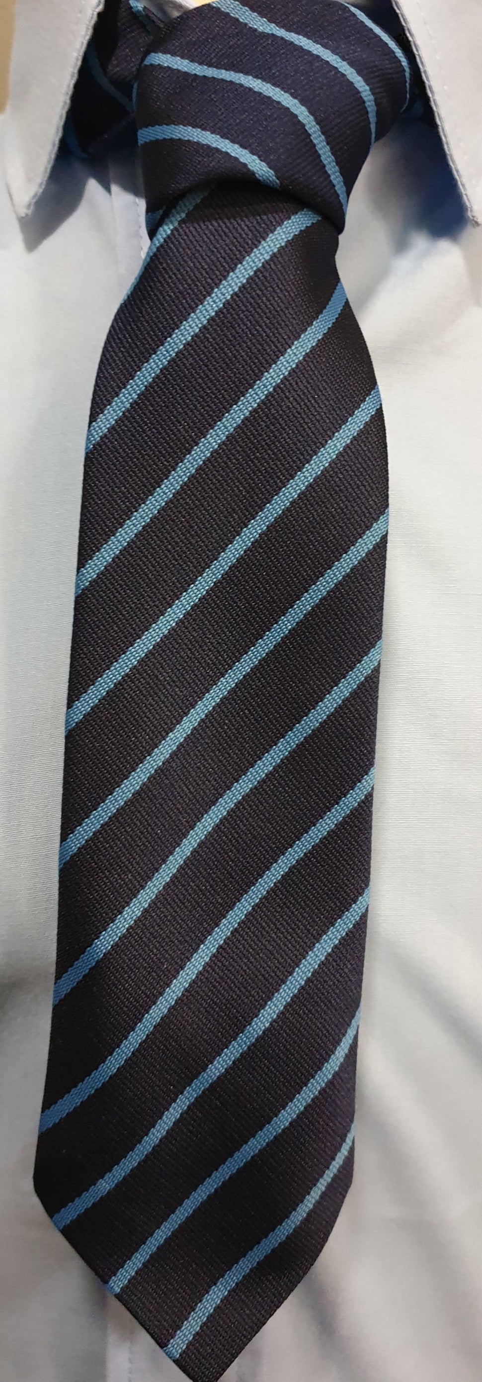 St Anne's PS tie - MJ's Menswear Derry