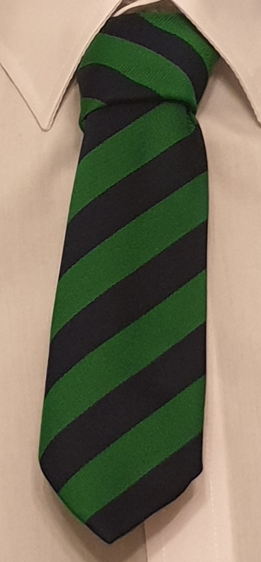 St Patrick's (Pennyburn) PS tie