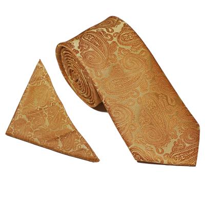 Boys Gold Tie & Hanky Set